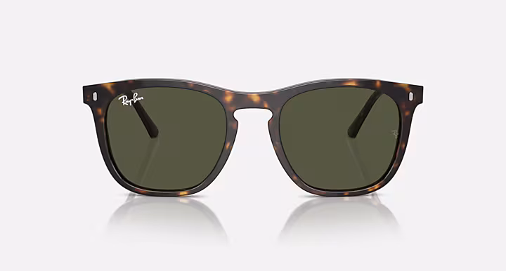 Vista frontal de Ray-Ban RB2210